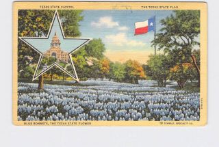 Vintage Postcard Texas State Flag Capitol Blue Bonnets State Flower Multi - View