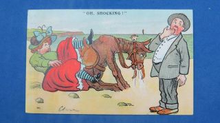 Vintage Risque Comic Postcard 1906 Seaside Beach Donkey Oh Shocking