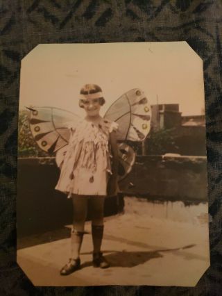 Vintage Photo Very Cool Child In Butterfly Costume Halloween
