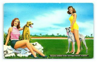Vintage Postcard Volusia Kennel Club Greyhounds Daytona Beach Florida E11