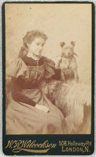 Cdv Girl Staffordshire Bull Terrier Dog Collar Antique Photo Victorian London