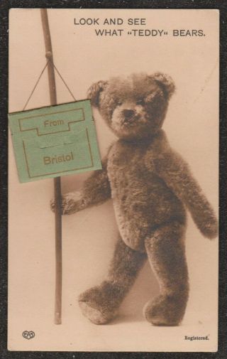1910 Bristol Teddy Bear Novelty Pull Out View Postcard See What " Teddy Bears "