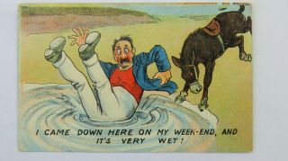 1910s Edwardian Saucy Vintage Comic Postcard Seaside Donkey Trekking Riding