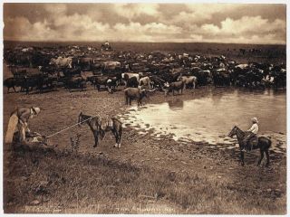 George B.  Cornish The Round - Up 1909 Collotype Western Cowboys Horses Cattle