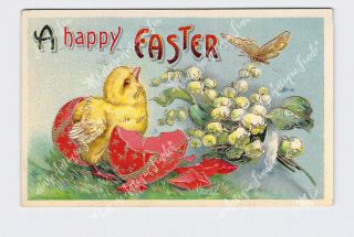 Ppc Postcard Easter Chick Hatched From Decorated Shell Flower Gold Embossed 2