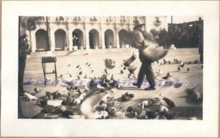 1915 San Diego Panama - California Exposition Woman Feeding Pigeon Birds Photos 4