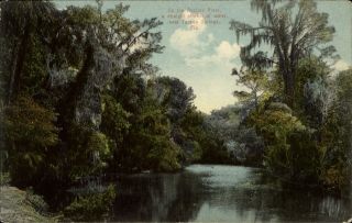 Anclote River Near Tarpon Springs Florida Fl Leighton Publ C1910