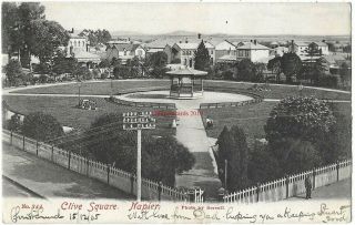 Zealand Napier Clive Square 1905 Vintage Postcard 25.  5