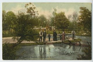 The Botanical Gardens Christchurch Zealand Vintage Postcard P01