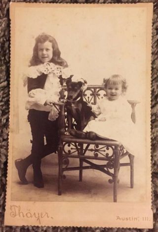 Antique Cabinet Card Photo 2 Young Girls Petting Dog Puppy Thayer Austin Ill