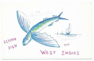 Vintage West Indies Islands Chrome Postcard Flying Fish Ships
