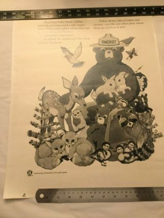 Vintage Smokey The Bear And Friends B&w Ad Council Forest Service Poster