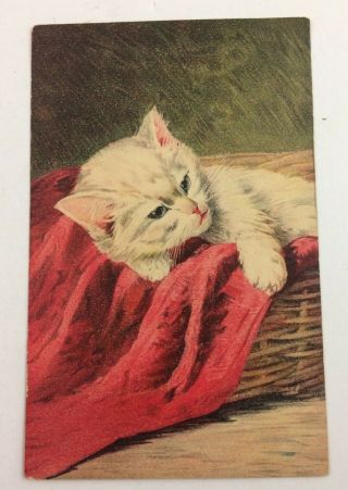 Vintage Antique Feline Cat In A Basket Postcard Circa 1907 Postcard