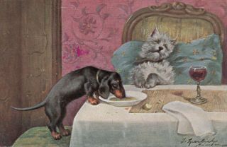 As: Dachshund Eating Sleeping Dog 