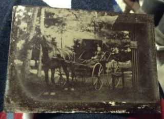 Old Tintype Photo Woman In Carriage Horse