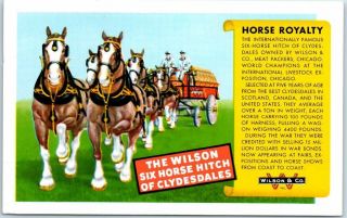 1940s Advertising Postcard " Wilson Six - Horse Hitch Of Clydesdales "