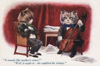 Dressed Cats Stringed Instrument Cello Sheet Music Comic Humorous Cats Pc Series