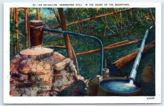 Postcard Great Smoky Mountains Nat.  Park Moonshine Still Vtg View C2