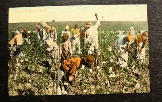 1910 Black Americana Postcard - " Cotton Pickers At Work "