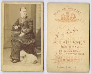 Cdv Photograph Victorian Lady With Pet Dog Carte De Visite By Audas Of Grimsby