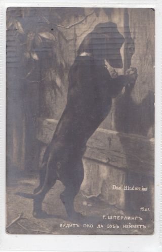 Dachshund Dog And Cat? Artist Sperling Postcard Russian Stamp