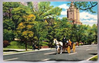 1940s Central Park York City Horse & Carriage Postcard Linen Vintage