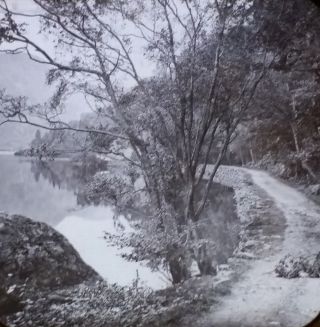 Path By Loch,  Trossachs,  Scotland,  Circa 1890 