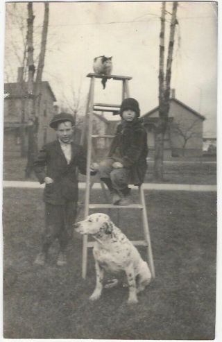 Two Boys,  Dog,  & Cat On Stepladder 1910s Vintage Snapshot
