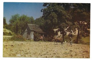 Rural Farm Scene In Great Smoky Mountains,  Tennessee Postcard