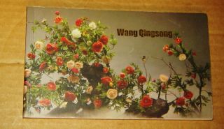 Wang Qingsong Chinese Art Artist 30 Full Color Oversize Postcard Book