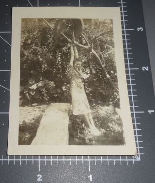 Quirky Woman Swings On Tree Hang Girl Hanging Feet Sarasota Fl Vintage Photo