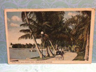 Along The Lake Shore Trail Palm Beach Florida Vtg Postcard Rickshaw Palms Water
