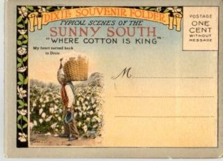 Typical Scenes Of The Sunny South - Dixie Souvenir Folder
