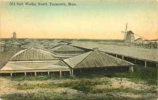 Old Salt,  S Yarmouth,  Cape Cod,  Massachusetts,  Vintage Postcard