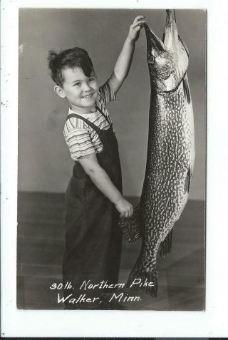 Real Photo Postcard Post Card Walker Minnesota Minn Mn Boy Fishing Northern Pike