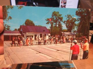 Vintage Old Postcard Florida Saint St Cloud Shuffleboard Court Club Folks Game
