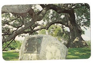 Council Oak Tree Lasalle Highland Cemetery South Bend Indiana Postcard In