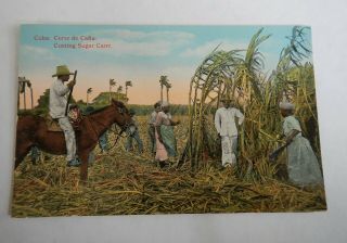 Vint.  Color Postcard Of Cuba - Corte De Cana - Cutting Sugar Cane