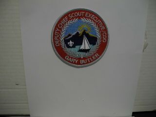 Bsa Deputy Chief Scout Executive/coo
