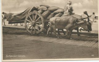 Buffalo Cart On Howrah Bridge Over River Heoghly Calcutta India Postcard