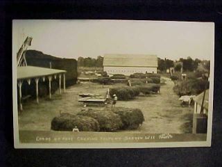 Vintage,  Circa 1910 - 1930 Rppc " Lords Of Peas Canning Factory,  Barron,  Wis.