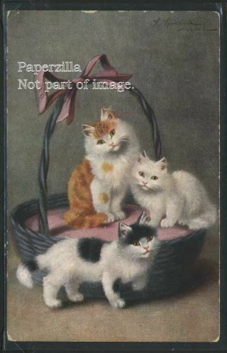 Pa Tamaqua Litho 1908 Signed Sperlich Patch Tabby Cats In A Basket By K&bd 3047
