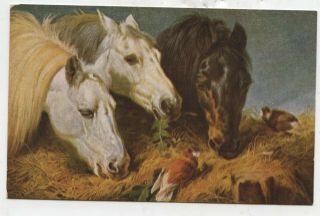 Early Three Horses And Two Birds " The Frugal Meal " John Frederick Herring Artist
