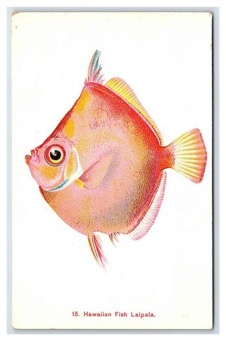 Vintage Postcard Island Curio Hawaiian Fish Laipala Hawaii M1