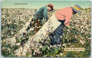 Vintage Texas,  The Lone Star State Postcard " Picking Cotton " Mwm Linen 1948