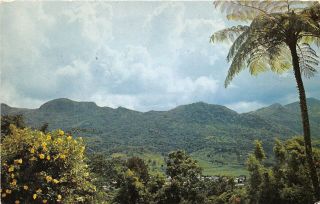 Puerto Rico 1956 Greetings Postcard Mountain Range Near Adjuntas