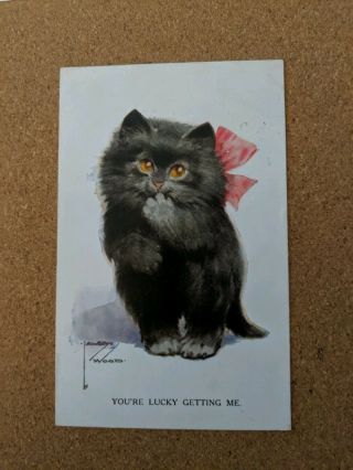 Cat Vintage Postcard.  Black Kitten.  Pink Bow.  Artist Lawson Wood.  British.  Pm1927.