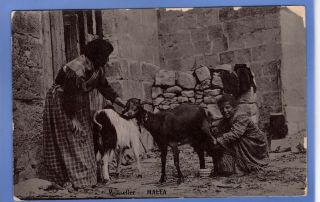1909 Goat Milk Seller Malta Valletta Postmark Vintage Postcard