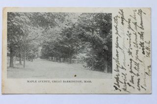 29c Old Undivided Back Udb Postcard Maple Avenue,  Great Barrington,  Ma