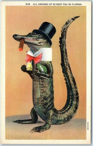 1940s Florida Comic Postcard Alligator In Top Hat,  Smoking Cigar - Curteich Linen